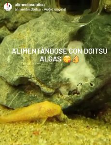 Screenshot_20220306-121106_Instagram Screenshot_20220306-121106_Instagram