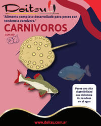 doitsu_carnivoro_200_250 Doitsu Carnívoros