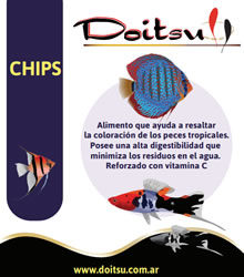 doitsu_chips_200_250 Doitsu Chips