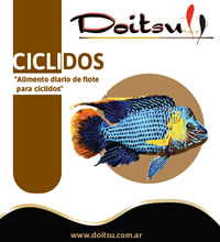 doitsu_ciclidos_200_220 Doitsu Ciclidos