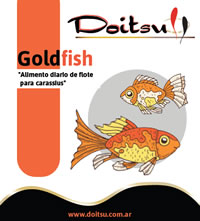 doitsu_goldfish_200_220 Doitsu Goldfish