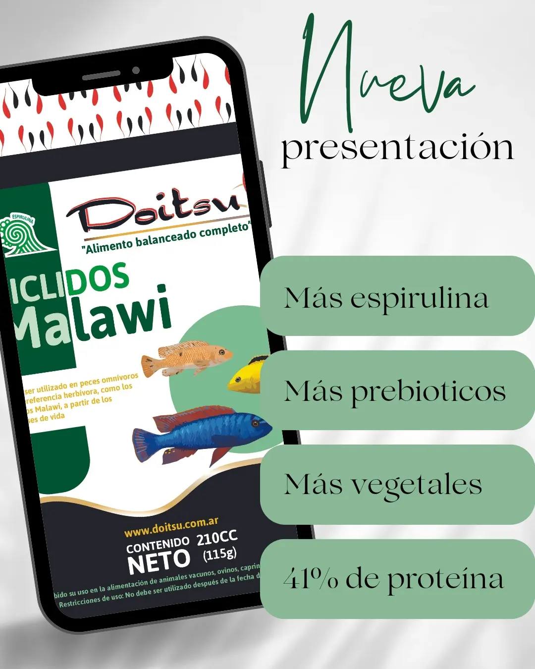 449169733_1495937767941718_7634756357724293691_n