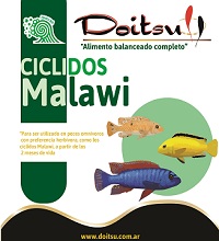 doitsu ciclido malawi nueva senasa doitsu ciclido malawi nueva senasa