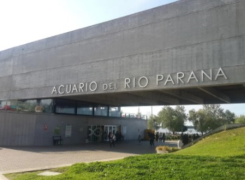 acuario1